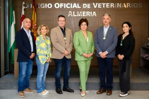 La candidatura liderada por Yasmina Domínguez revalida así su proyecto con cuatro años más de legislatura por delante al frente de la institución colegial