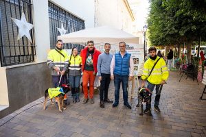 Almeria campaña ‘Adopta un amigo para toda la vida por Navidad’ 8