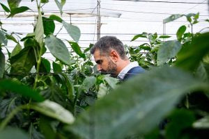 El consejero de Agricultura Ramón Fernandez Pacheco en un huerto