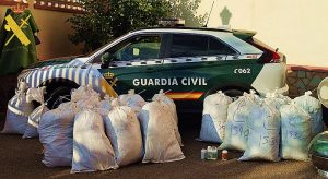 Guardia Civil desmantela un plantación de marihuana en Paterna del Río 1
