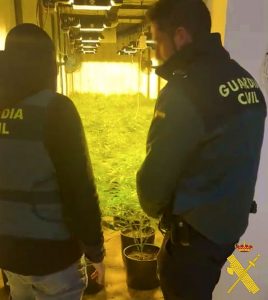 Guardia Civil desmantela una plantación de marihuana oculta en un sótano construido con contenedores bajo una vivienda en Gádor