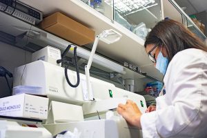 Salud y Consumo  investigación