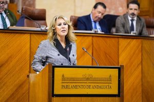 consejera de Economía Carolina España Parlamento