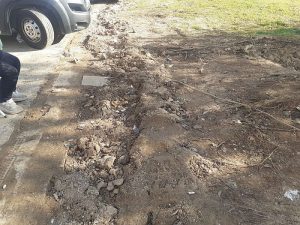 en Catarroja Valencia mi mujer  calló al suelo debido al mal estado de unos jardines8