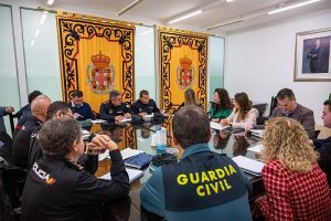 Almeria Junta Local Seguridad Cabalgata y Romería (9)