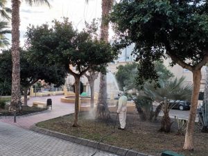 Ayuntamiento de Adra continúa con los servicios de prevención y c