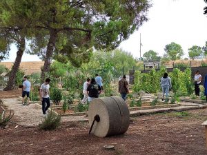 Consejería de Agricultura, Pesca, Agua y Desarrollo Rural Andalhuerto