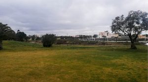 PARCELA EL TOYO