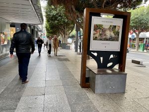 Paseo de Almeriaa
