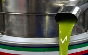 Unión de Uniones denuncia la posible especulación en el sector del aceite