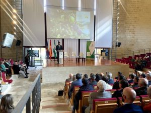 250219_Estrategia del Olivar 1