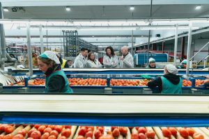 ALMERIA PREVIA FRUIT LOGISTICA