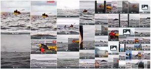 Ballena en el Estrecho de Magallanes en Chile