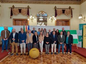 Bandera de Andalucía Puntos Vuela (2) (1)