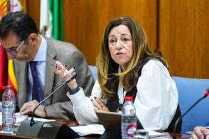 María del Carmen Castillo en el parlamento