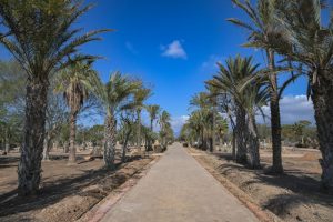 Visita obras Parque del Boticario (38)