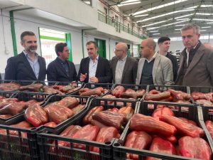 250324 Fernández-Pacheco se reúne con ECOHAL (2)