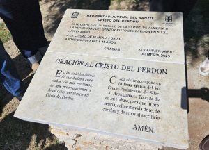 250327 Olivo Hermandad del Perdón (4)