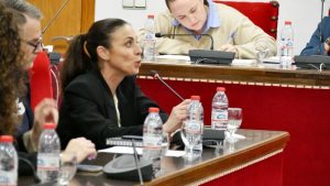 250331 Aprobada la ordenanza municipal reguladora de la cesión de uso de... (1)