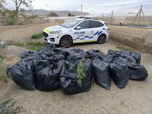 26-3-2025 POLICIA LOCAL PLANTACIÓN MARIHUANA 9 (1)