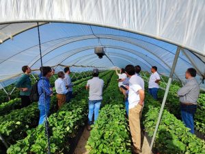 DEMOFARM 1 (1)