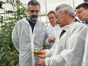 Invernadero tomate premium 1 (1)