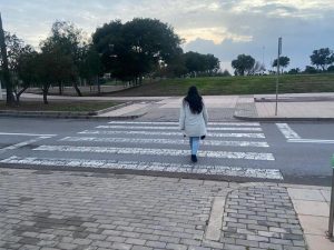 Paso Cebra El Toyo (1)