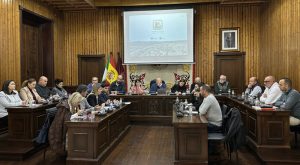 Pleno (1)