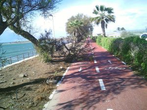 Rama de árbol caida por el viento en el carril bici de la UAL al Paseo Marítimo