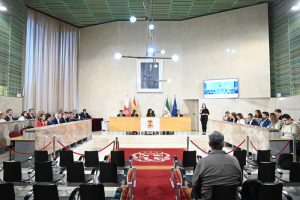 15-4-2025 Pleno Extraordinario