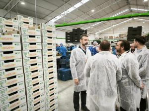 250415 Fernández-Pacheco visita la cooperativa COSAFRA (3)