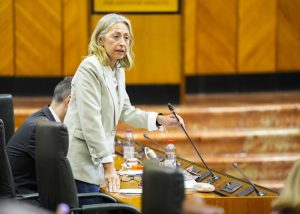 250424 RH Parlamento (1)