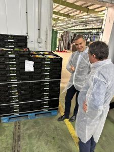 Economía Social Innovación (1)