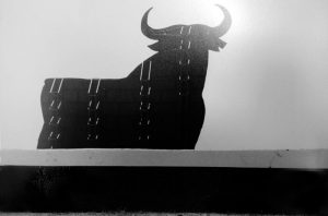 FOTO LA PIEL DE TORO retocadaAUTOR LARRY MANGINO (1)