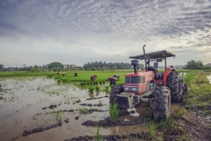 Maquinaria agrícola (8) Campo de arroz Tractor (1)
