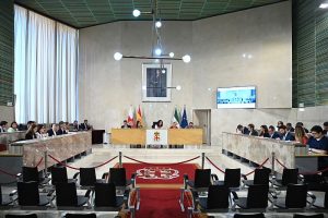 12-5-2025 Pleno Ordinario
