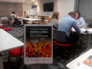 Andalucía TRADE b2b IRLANDAV1