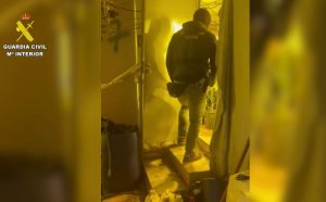 Guardia Civil detenidos en el Poniente almeriense tras desmantelar dos cultivos de marihuana