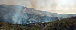 Incendio en Huercal de ALmeria