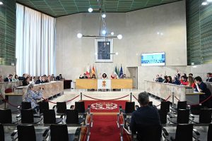 Pleno Ordinario (15)