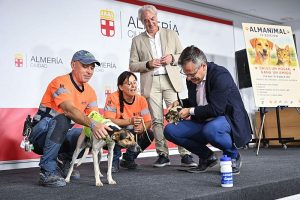 Presentación AlmAnimal 2025 (17)