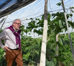 Vicar Antonio bonilla en cultivo