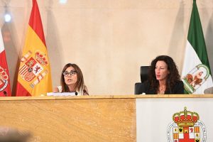 17-6-2025 Pleno Ordinario (51)
