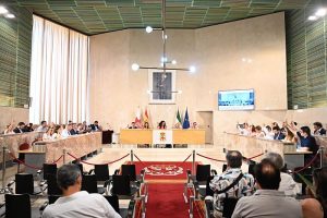 Colegio Oficial de Veterinarios de Almería valora positivamente la moción aprobada hoy en el Pleno del Ayuntamiento de Almería pleno