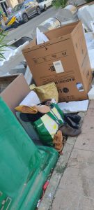 Despojos en contenedor de la Calle Mayor de Garrucha a primeras horas de la mañana