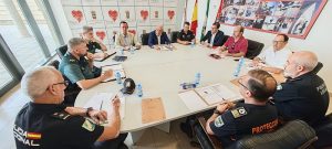 Junta Local De Seguridad De Vícar