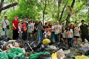 Limpiadores de basura en España