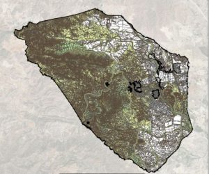 Plano de Antas