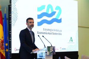 Ramon Fernández-Pacheco en la presentación de la estrategia en Cádiz