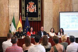 Soterramiento anuncio corte tráfico y desmantelamiento puente Avda Mediterráneo (15)